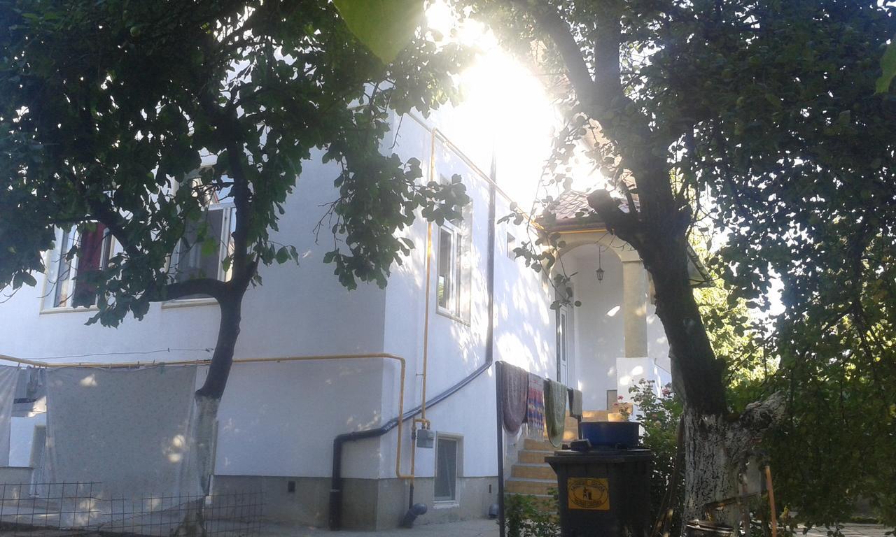 Alfredo Hostel Craiova Eksteriør bilde